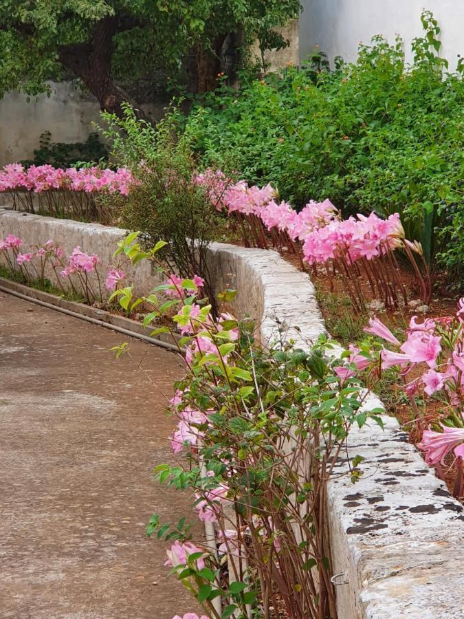Villa Nel Salento - Ampie Camere E Giardino, Fino A 9 Persone Barbarano del Capo Exterior foto