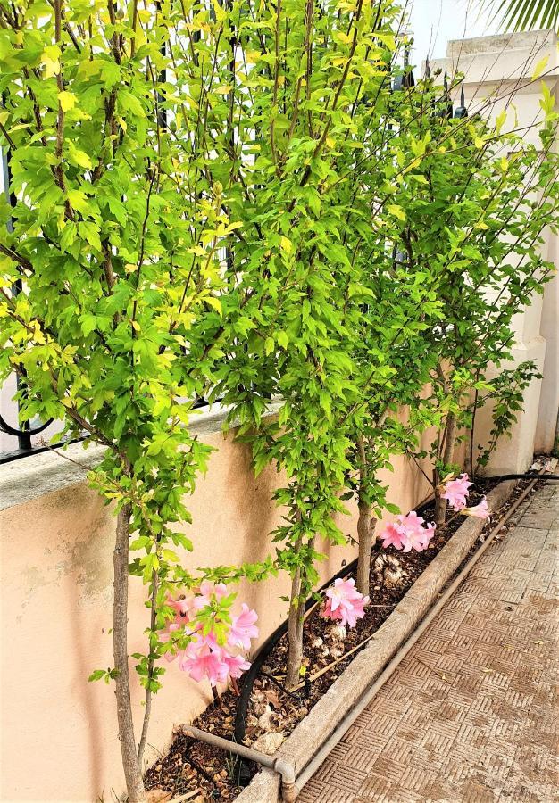 Villa Nel Salento - Ampie Camere E Giardino, Fino A 9 Persone Barbarano del Capo Exterior foto